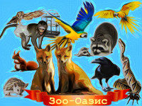 zhivotnye-i-pticy-ot-zoo-oasis-kartinka