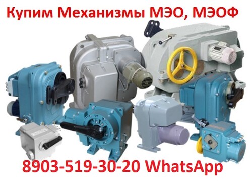 1-mekhanizmy-meo-meof 1-mekhanizmy-meo-meof