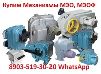1-mekhanizmy-meo-meof