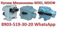 4-mekhanizmy-meo-meof