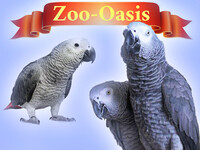 zhako-ot-zoo-oasisru