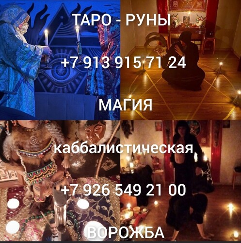 privorot-39