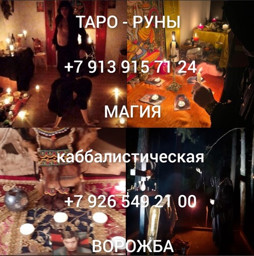 privorot-40 privorot-40