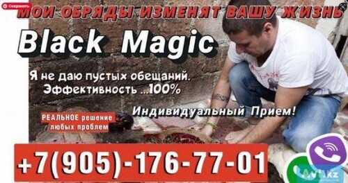 13076 13076