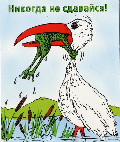 1 1